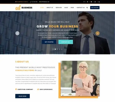 Business Website Design and Development Project